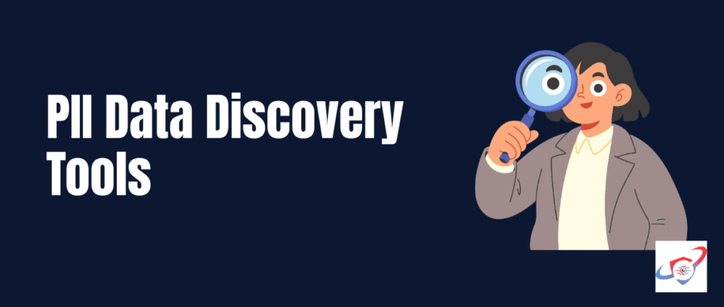 PII Data Discovery Tools