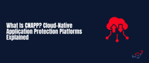 what is CNAPP in cybersecurity